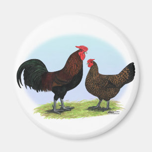 Derbyshire Redcap Fowl Magnet
