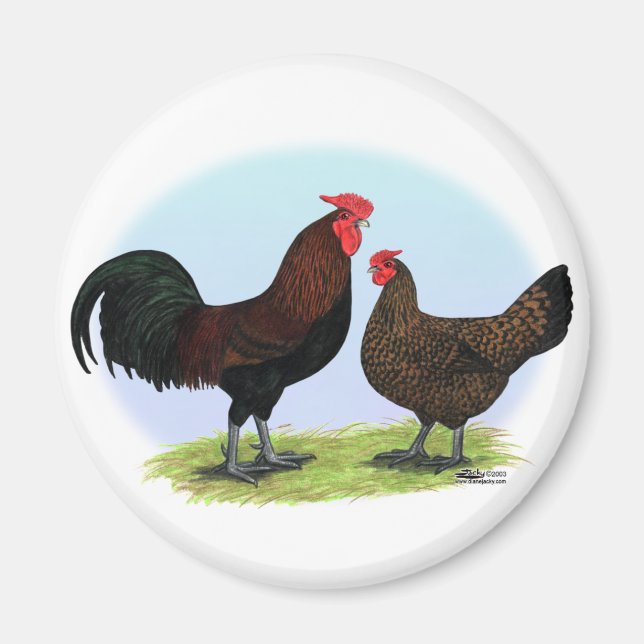 Derbyshire Redcap Fowl Magnet (Vorne)