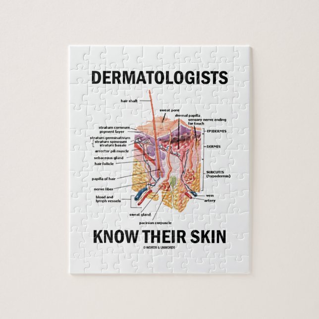 Dermatologen kennen ihre Haut (Anatomie) (Vertikal)