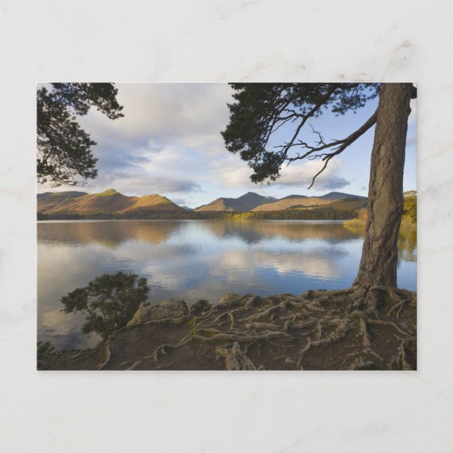 Derwentwater, Lake District, Cumbria, England Postkarte (Vorderseite)