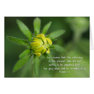 Derzeitige Leiden Römer 8:18 Gelbe Daisy