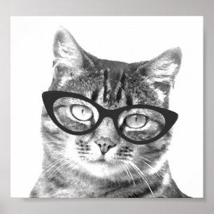 Des affiches de photos de chat amusantes