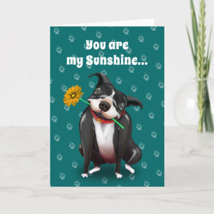 Des cartes de voeux de Valentine de chien   vous