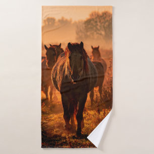 des chevaux koniks sauvages qui sont arrivés tout