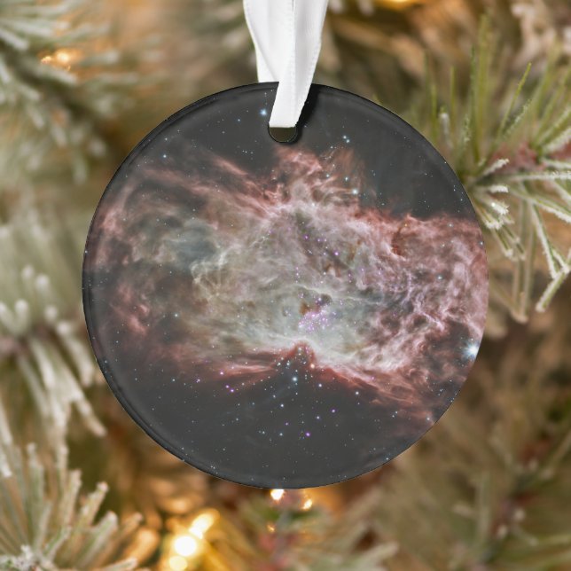 Des Clusters Étoiles Au Centre De La Nebula De Fla (Arbre)