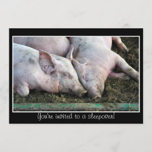 Des cochons qui dorment, une invitation à dormir