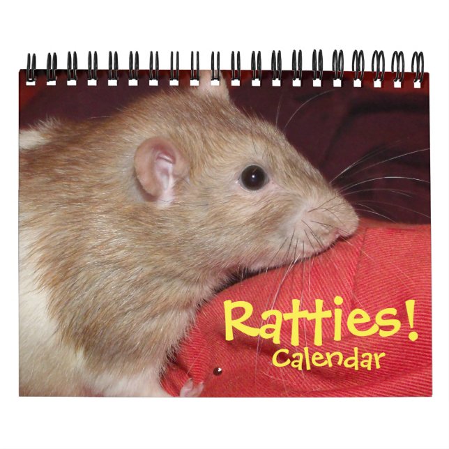 Des cravates ! calendrier (petit) (Protection)