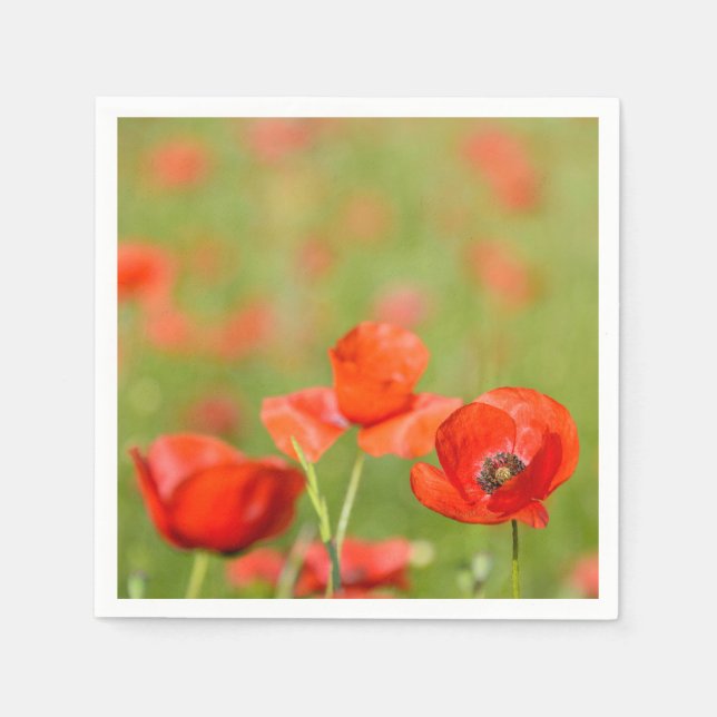 Des pavots dans des serviettes en papier de pavot (Devant)