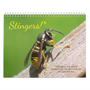Des puants ! Calendrier des abeilles et des guêpe