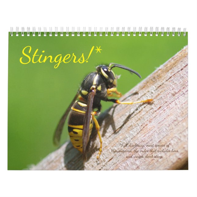 Des puants ! Calendrier des abeilles et des guêpes (Protection)