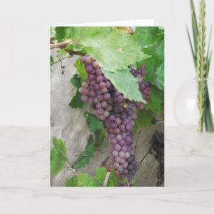 Des raisins violets sur la carte de voeux de la vi