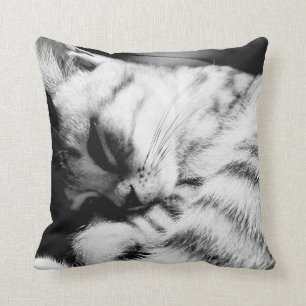Des SleepyCat coussins meliert gris
