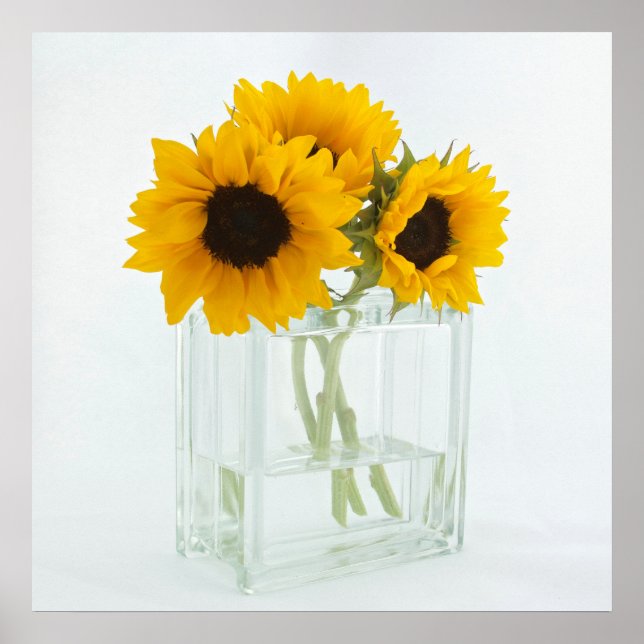 Des tournesols dans un poster Vase (Devant)