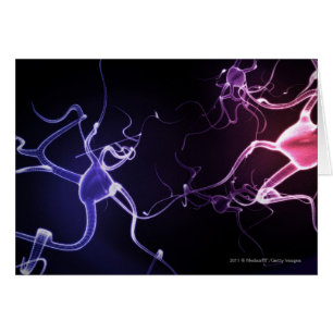 Description colorée des neurones