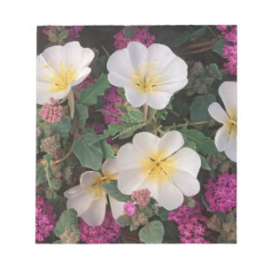 Desert Abend Primrose und Wüste Sand Verbena, Notizblock