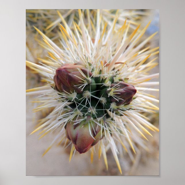 Desert Beauty Poster (Vorne)