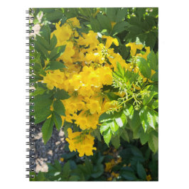 Desert Bloom Notizblock