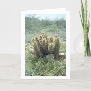 Desert Blooms Cactus Cartes de voeux ou Cartes de