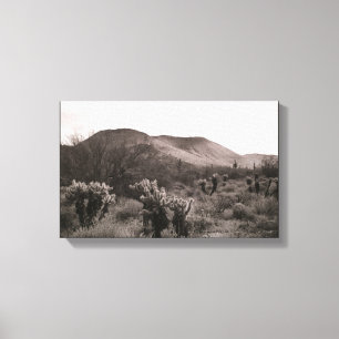 Desert Cacti Jumping Cholla B&W Foto Art Prints Leinwanddruck
