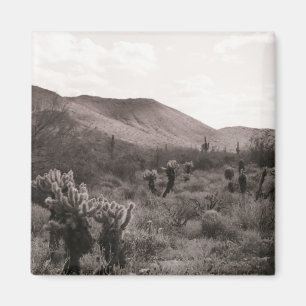 Desert Cacti Jumping Cholla Kühlschrank Magnet