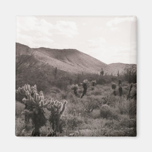 Desert Cacti Jumping Cholla Kühlschrank Magnet (Vorne)