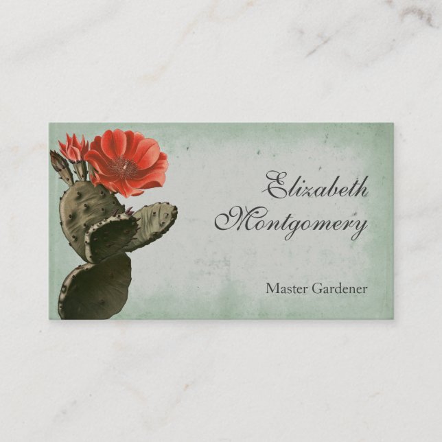 Desert Cactus Blume Beruflich Business Cards Visitenkarte (Vorderseite)