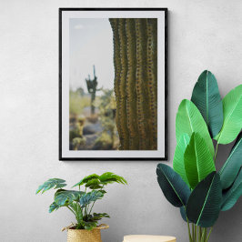 Desert Cactus Fotografy Poster