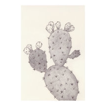 Desert Cactus