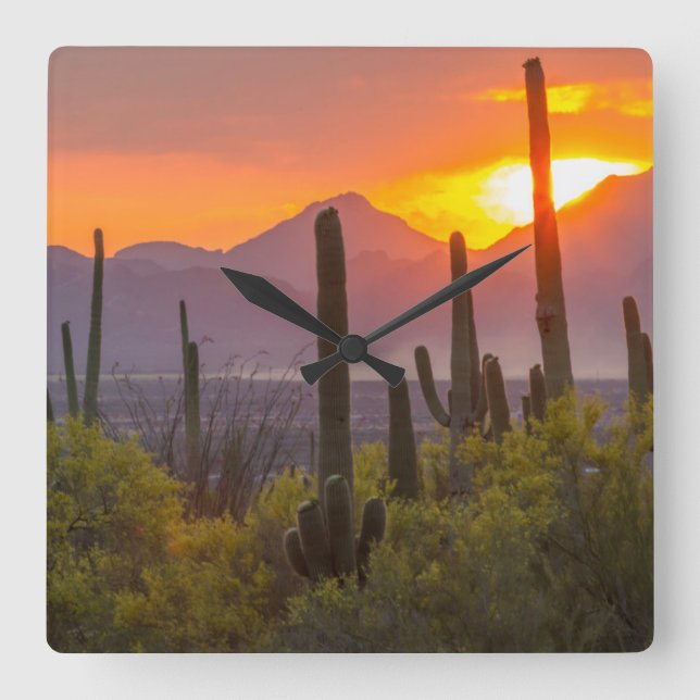 Desert cactus sunset, Arizona Quadratische Wanduhr (Vorderseite)