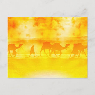 Desert Camel Caravan Sunburst Postcard Postkarte