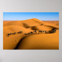 DESERT CAMEL TRAIN - Sand Dunes in Tamnougalt
