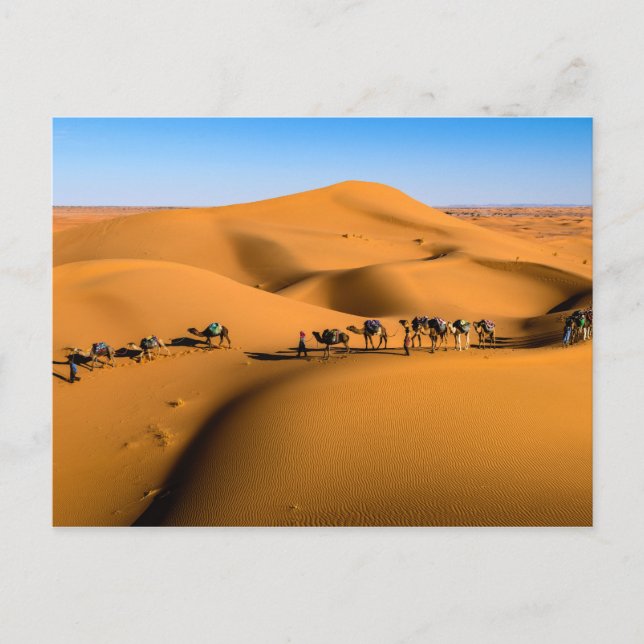 DESERT CAMEL TRAIN - Sanddünen in Tamnougalt Postkarte (Vorderseite)