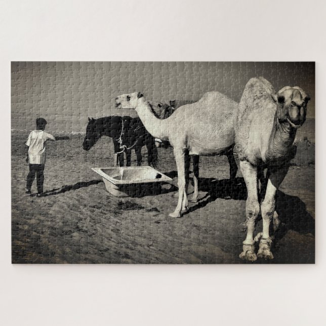 Desert Camels (Horizontal)