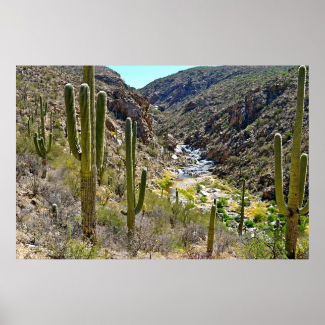 Desert Canyon Poster (Vorne)