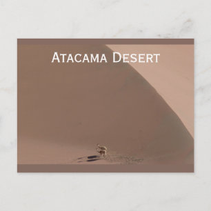 Désert d'Atacama, Chili Carte postale