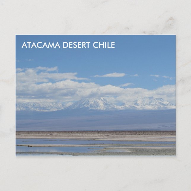 Désert d'Atacama, Chili Carte postale (Devant)