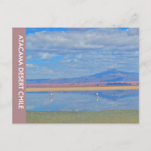 Désert d'Atacama, Chili Carte postale