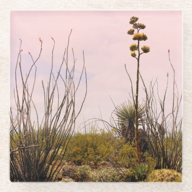 Desert Dreams New Mexico Agave & Ocotillo Glasuntersetzer (Vorderseite)
