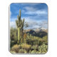 Desert Dreams Saguaro Foto Puzzle (Deckel Vertikal)