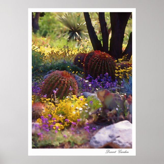 Desert Garden, poster (Vorne)