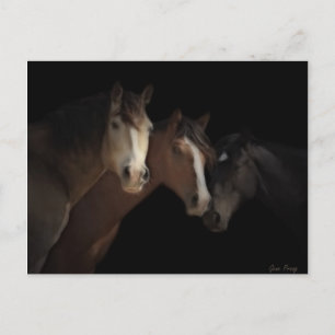 Desert Ghosts Postcard Postkarte