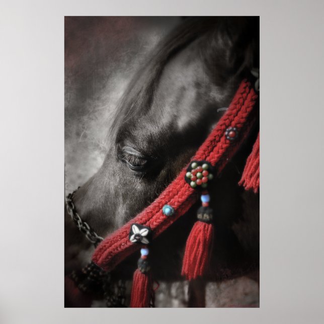 Desert Jewel Poster (Vorne)