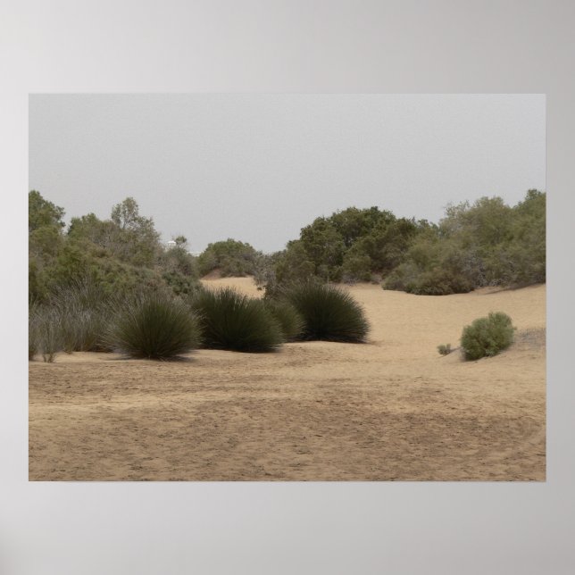 Desert land 1 poster (Vorne)