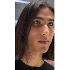 Desert Mustang T - Shirt