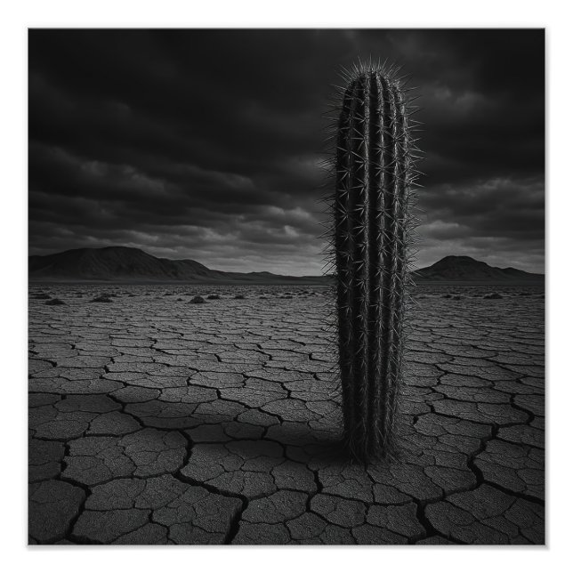 Desert - Photo Print (Devant)