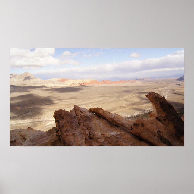 Desert Plain Poster (Vorne)