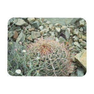 Desert Poetry Cactus Decorative Kühlschrankmagnet Magnet