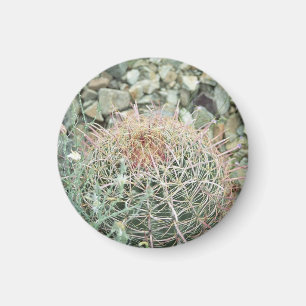Desert Poetry Cactus Kühlschrank Gift Magnet