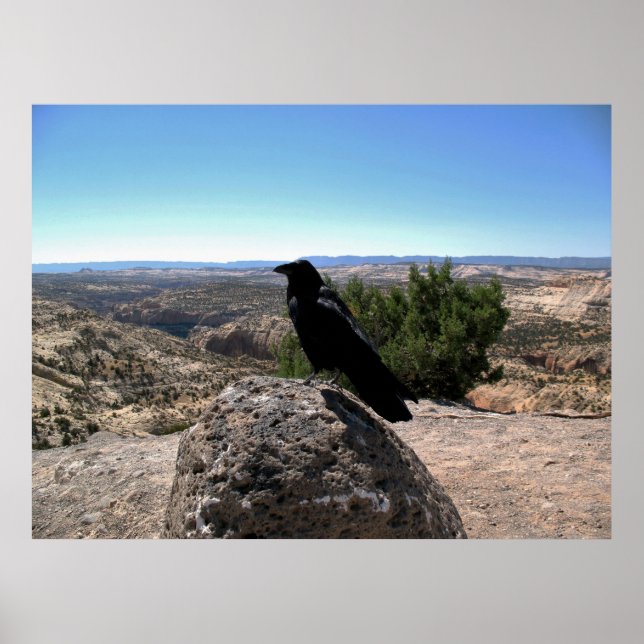 Desert Raven Poster (Vorne)