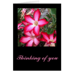 Desert Rosereeting Card